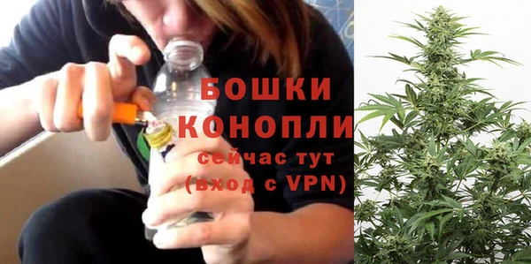 MESCALINE Аркадак