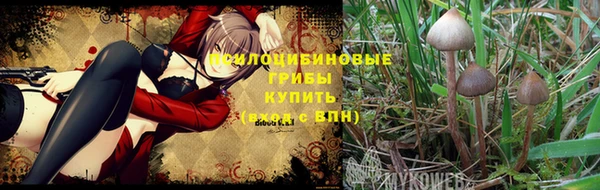 мет Балабаново
