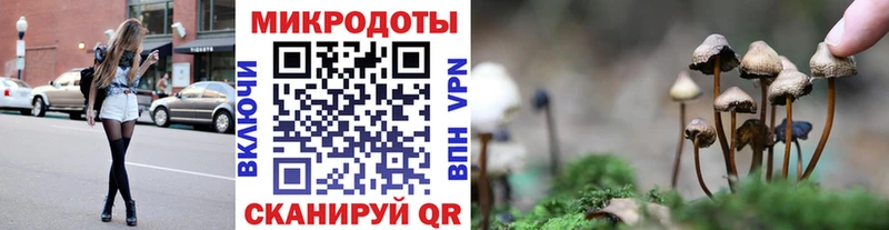 Купить закладки  Тюкалинск  Псилоцибиновые грибы Psilocybine cubensis 